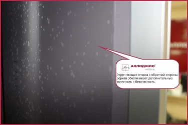 Шкаф-купе Хит-23-17-77 Орхидея Ясень шимо светлый