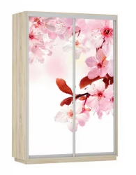 Шкаф-купе двухдверный Экспресс Дуо 1600х2400х Сакура/Дуб сонома / 1600х2400h