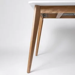 Стол обеденный Пегас Плус 160кс95 Морилка Дуб золотой Эмаль белая / Plus 160x95