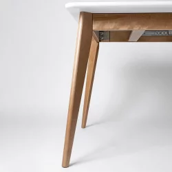 Стол обеденный Пегас Plus 160x95 Морилка Дуб золотой Морилка Орех