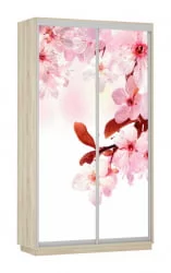 Шкаф-купе двухдверный Экспресс Дуо 1200х2400h Сакура/Дуб сонома