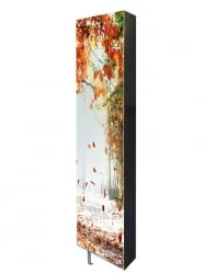 Поворотный зеркальный шкаф Драйв Шелф Арт (левый) Беленый дуб