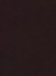 Диван-кровать Европа-1 ППУ