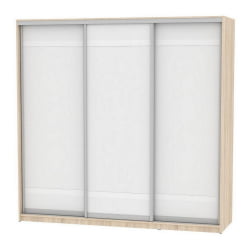 Шкаф-купе B-230х235х60-2(ДСС-Белый-D9D9D9)