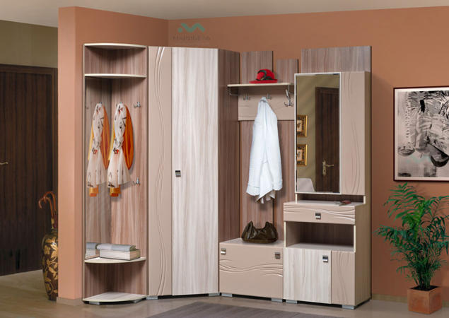 Прихожая Визит-5