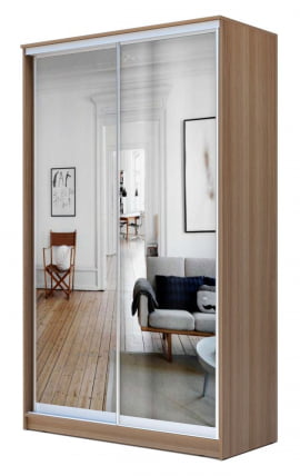 Шкаф-купе Хит-24-14-55 Ясень шимо темный_0