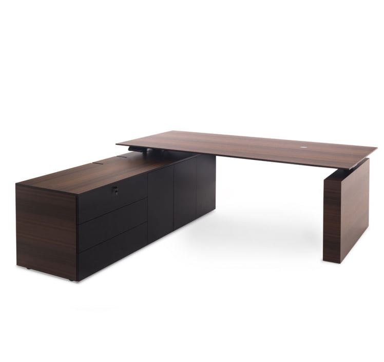 TESLA Стол письм. с тумбой SX ЭВКАЛИПТ МОРЕН/ЧЕРН 110 103 ECL BL_0