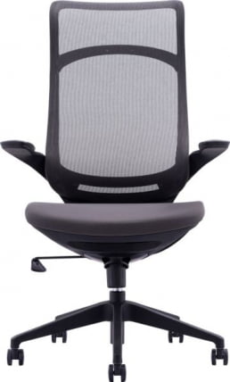 Кресло руководителя Everprof Spirit Сетка Черный_1