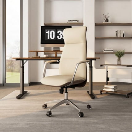 Эргономичное кресло руководителя Eureka OC08-OW, белое_8