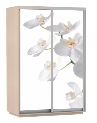 Шкаф-купе двухдверный Экспресс Дуо 1600х2400h Белая орхидея/Дуб молочный_0