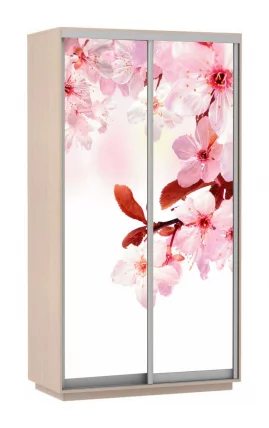 Шкаф-купе двухдверный Экспресс Дуо 1200х2200h Сакура/Дуб молочный_0