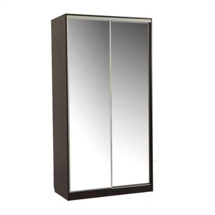 Шкаф-купе Рио-4 Венге_0