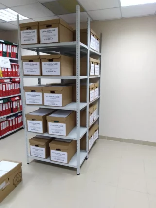 Полка СТФ.100х50_3