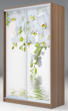 Шкаф-купе Хит-24-17-77 Орхидея Ясень шимо темный_0