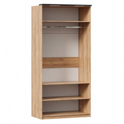 Шкаф двухстворчатый с комбинированными дверями Техно ЛД 678.130.000.001 Дуб Золотой Черный_2