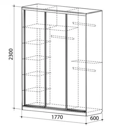 Шкаф-купе Бассо 2-600 Венге / Коричневый_2