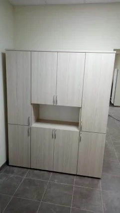 Шкаф высокий закрытый с нишей Glassy 6.19.111 Туя_3