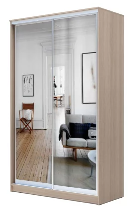 Шкаф-купе Хит-23-17-55 Ясень шимо темный_0