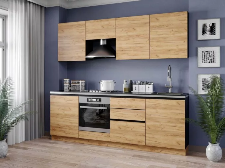 Тумба кухонная 800 с 2 ящиками ЛЮКС (4) Шервуд ЛД 281.940.000.016 Черная Дуб золотой_2