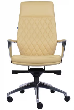Кресло для руководителя Everprof Roma Экокожа Бежевый_2