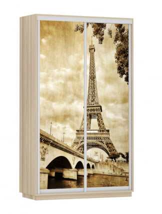 Шкаф-купе двухдверный Экспресс Дуо 1200х2200h Париж/Ясень шимо светлый_0