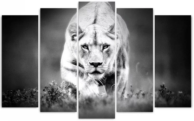 Модульная картина Toplight хсм TL-PM0008_0