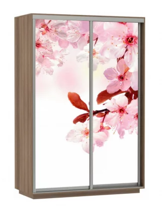 Шкаф-купе двухдверный Экспресс Дуо 1600х2400h Сакура/Ясень шимо тёмный_0