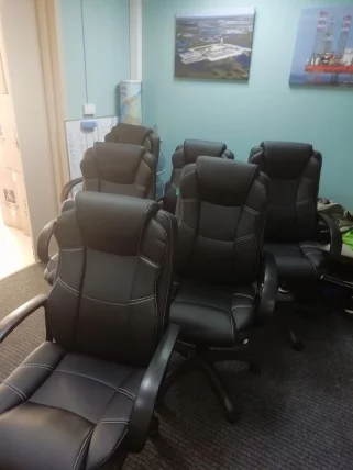 Кресло руководителя Бюрократ CH-839/BLACK экокожа черный Пегас_7