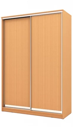 Шкаф-купе Хит-24-17-11 Бук бавария светлый_0