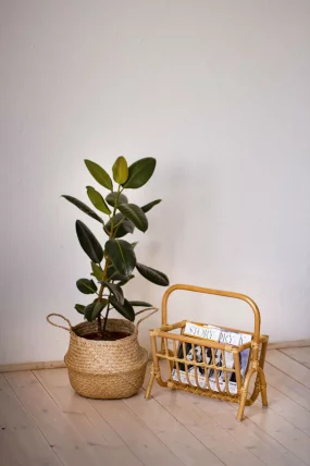 Газетница 17/13 венге матовый_1