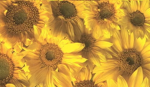 Стол обеденный Прямоугольный 900 600 фп Подсолнух ЛДСП серый_2