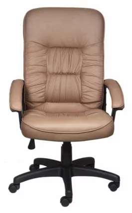 Кресло руководителя Бюрократ T-9908AXSN/F9_1