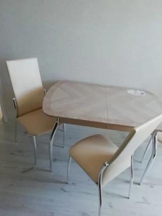 Стол обеденный Орфей 30.10 Дуб Кобург_8