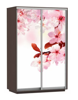 Шкаф-купе двухдверный Экспресс Дуо 1400х2200h Сакура/Венге_0