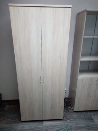 Шкаф для одежды глубокий Twin 16.17.302 Дуб Сантана светлый_2