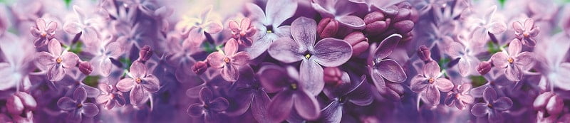 Глянцевый фартук (КОМПОЗИТ) KM 244_0