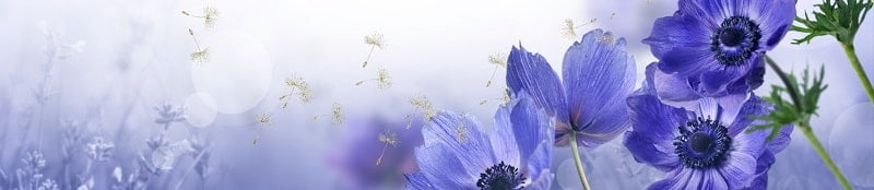 Глянцевый фартук с эффектом мерцания (КОМПОЗИТ) Анемона_0