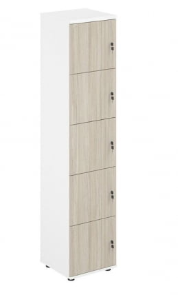 Локер 5 ячеек SigmaSG.818.WH.OL Белый Дуб светлый_0