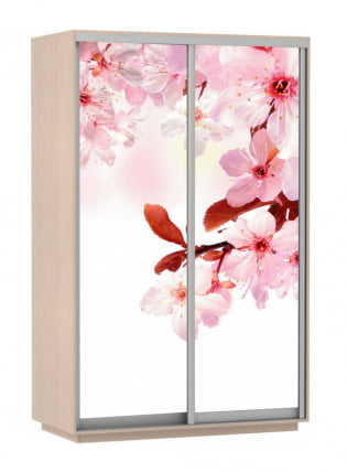Шкаф-купе двухдверный Экспресс Дуо 1400х2400h Сакура/Дуб молочный_0