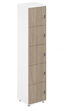 Локер 5 ячеек Sigma SG.818.WH.OD Белый Дуб темный_0