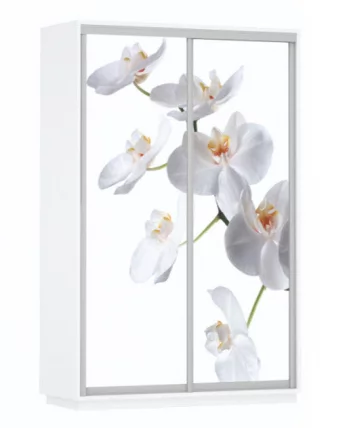 Шкаф-купе двухдверный Экспресс Дуо 1600х2400h Белая орхидея/Белый снег_0