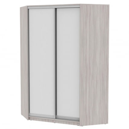 Шкаф-купе YA-230х1400-718-2(ЯШС-D5D5)_0