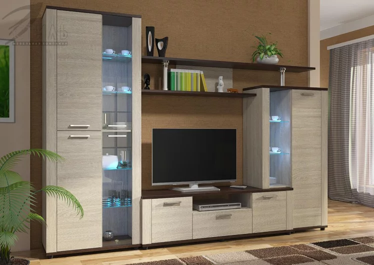 Гостиная Соло 10А Венге/Дуб сонома_0