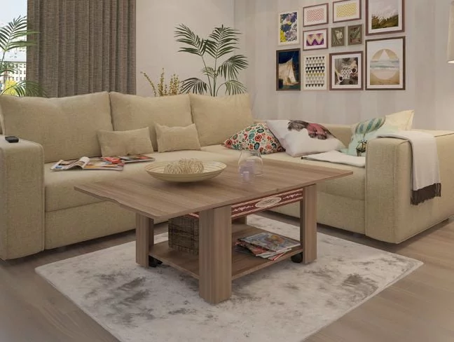 Журнальный столик Адам 1 Ясень Шимо темный / Ясень Шимо светлый_2