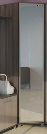 Шкаф угловой с зеркалом Модуль 8 Ясень шимо темн/Ясень шимо св._0