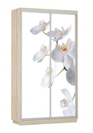 Шкаф-купе двухдверный Экспресс Дуо 1200х2400h Орхидея белая/Дуб сонома_0