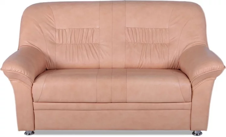 Диван Карелия 2х местный (Терра 101)_0