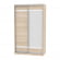 Шкаф-купе B-230х135х60-2(ДСС-D9D10)_355378